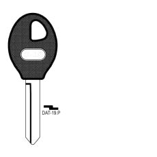 DAT-19.P Nøkkelemne