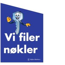 Flagg - Vi Filer Nøkler